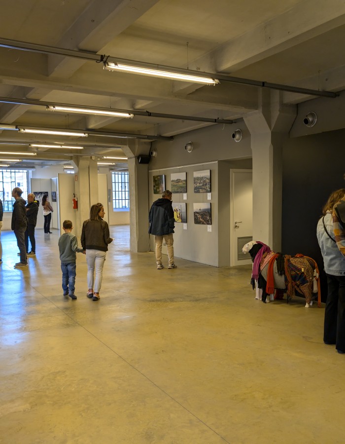 Schio: Science Festival in Northeast Italy